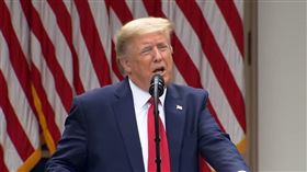 雙招反制中國！川普宣布美國退出WHO　取消香港特殊待遇（圖／翻攝自The White House YouTube）