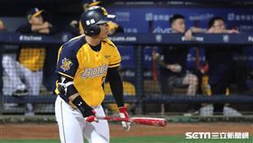 ▲中信兄弟外野手周思齊。（圖／記者劉彥池攝影）