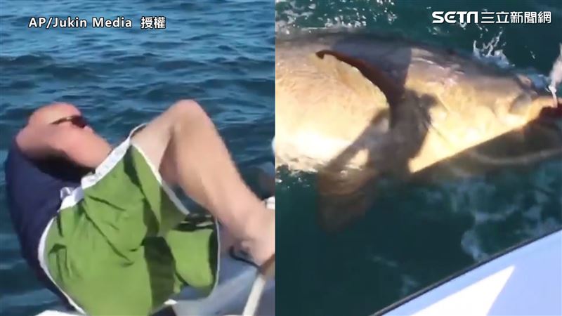 他釣魚意外落海　下秒拉起見巨大石斑