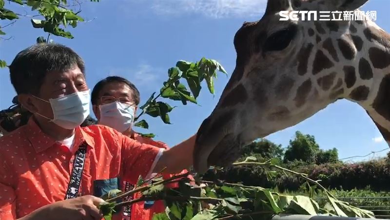 牙醫魂！阿中訪頑皮世界幫長頸鹿看牙