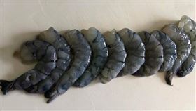 全聯,蝦子,草蝦,新鮮,藍色（圖／翻攝自《我愛全聯-好物老實説》）