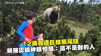 孩遭巨棕熊尾隨　頻確認眼神眼怕爆