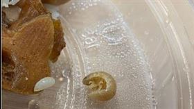 他吃便當驚見恐怖怪蟲！鄉民驚揭「真實身分」：微妙的生物（圖／翻攝自PTT）