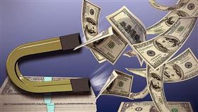 ▲發大財；生肖（圖／翻攝自pixabay）