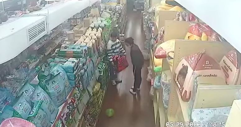 女逛寵物店1秒摔黃金鼠⋯牠內出血死