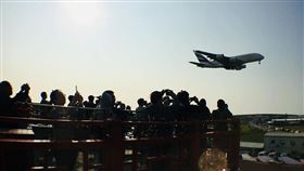 飛機迷哭了！拍航機絕美景點「看機機餐廳」宣布暫時歇業（圖／翻攝自賞機機餐廳）