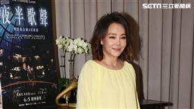 辛曉琪　記者邱榮吉攝影