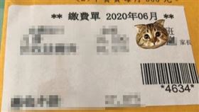 註冊費,幼兒園,學費,生育(翻攝自 爆怨公社)