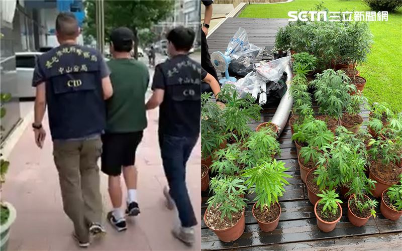 十萬租陽明山豪宅　退役軍人種大麻