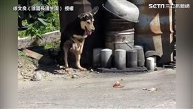 ▲（圖／徐文良（徐園長護生園） 授權）