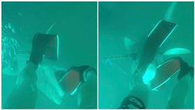 潛水捕魚…18歲男遭3米公牛鯊盯上！2分鐘掙扎畫面曝光（圖／翻攝自Lachlan Pye臉書）