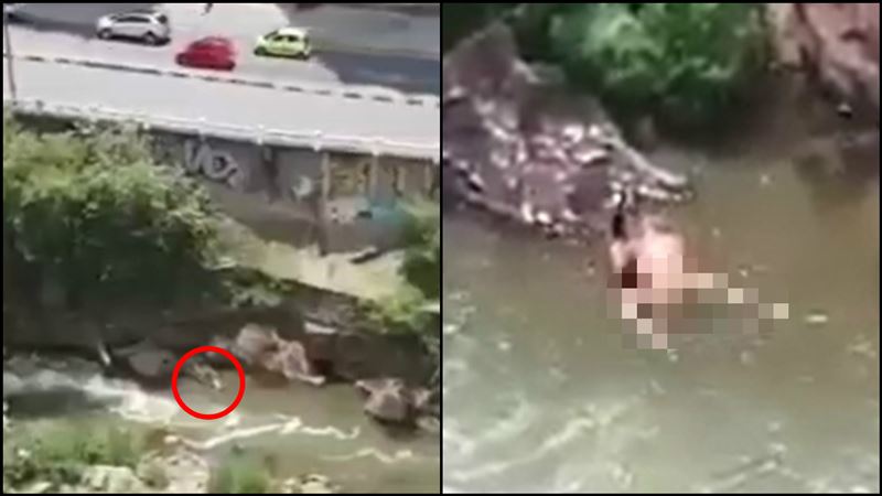 他驚見河中情侶「蛙式繁殖」…網狂嘔