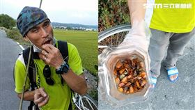 移工生吃荔枝椿象／郭俊銀授權提供