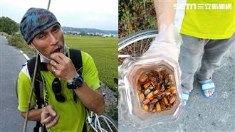 生吃荔枝椿象　移工嗨讚：天然威而鋼