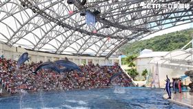 住宿送海洋公園門票，親子共遊享樂趣（圖／福容大飯店花蓮店提供）
