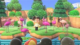 集合啦！動物森友會,台北市立動物園,Taipei Zoo,動物園,動森
（圖／翻攝自Taipei Zoo 臺北市立動物園）