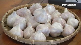 創新高！蒜頭一台斤要價近200元