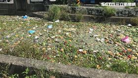 雲林西螺大排蔬果飄飄河／議員廖秋萍授權提供