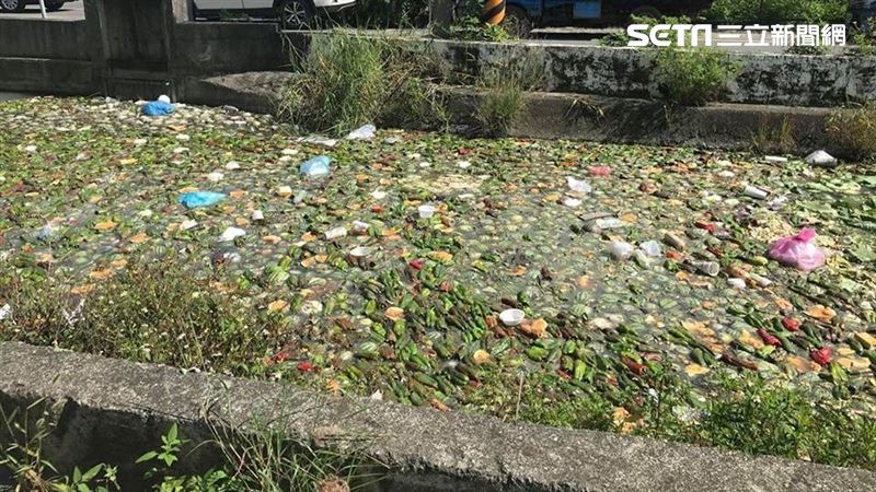 雲林驚見蔬果漂漂河　滿滿青椒浮大排