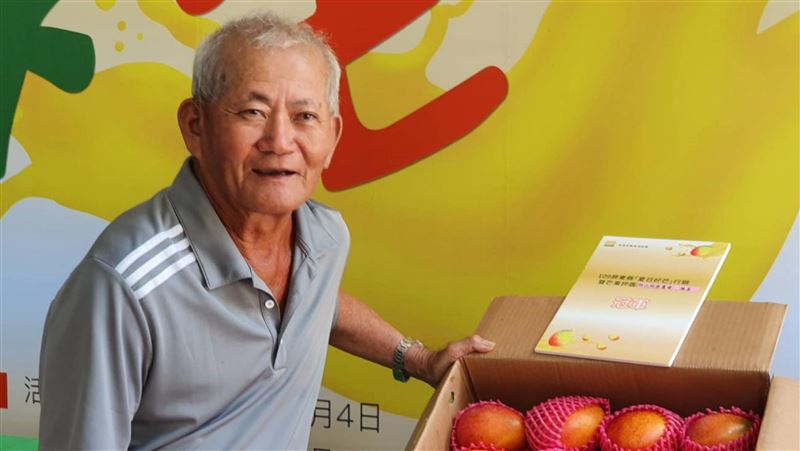愛文芒果豐收　疫情中外銷逆勢成長