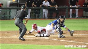 ▲林立場內全壘打捕手戴培峰。（圖／記者劉彥池報導）