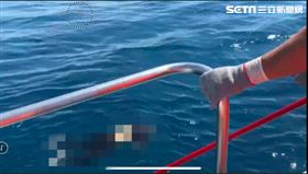 花蓮,浮屍,海巡,帶你回家