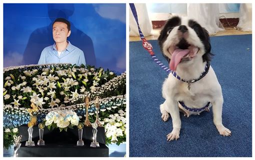 一路送到火葬場 吳朋奉愛犬碰碰最後告別 不吵不鬧惹淚崩 娛樂星聞 三立新聞網setn Com