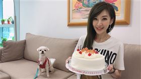 羅巧倫。（民視提供）