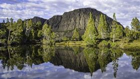 名家專用／草根影響力新視野（勿用）