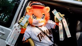 統一獅13日要幫魚頭君辦生日派對。（圖／統一獅提供）