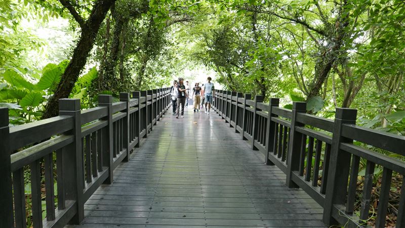 疫情解封　關渡自然公園取消實名制