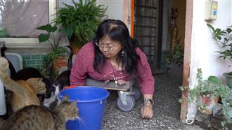 再苦也要撐過去！重殘婦人飼70隻貓