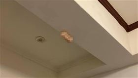 飛機杯,情趣玩具,肉色,天花板,衣櫃(翻攝自 爆怨公社)