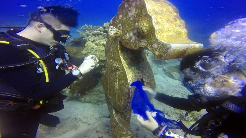 豆丁海馬郵筒置放海底2年　上岸洗澡