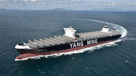 陽明海運購新船 服務亞歐航線陽明海運24日在日本今治造船株式會社造船廠舉行新船承明輪、景明輪命名和交船典禮，這兩艘大型貨櫃輪明年2月交付陽明海運，並服務於亞歐航線。（陽明海運提供）中央社記者韋樞傳真　107年12月24日