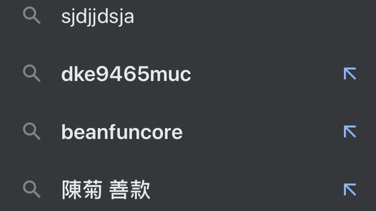 輸亂碼跳出陳菊…Google說話了
