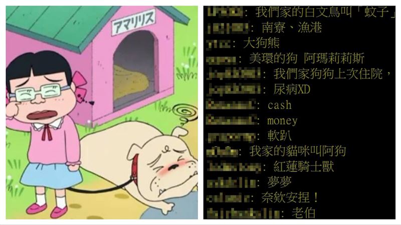 最ㄎㄧㄤ寵物名字？網友點名美環的狗