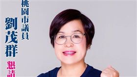 劉茂群,藍營,當選無效,定讞,民事