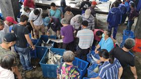 颱風季節將屆  台東三和漁場收網邁入颱風季節，台東縣太麻里鄉「三和定置漁場」收網暫停出海抓魚3個月。圖為三和漁場「現撈」漁獲便宜賣，因而發展另類的搶魚文化，每天吸引不少饕客和搶鮮民眾。中央社記者盧太城台東攝  109年6月10日