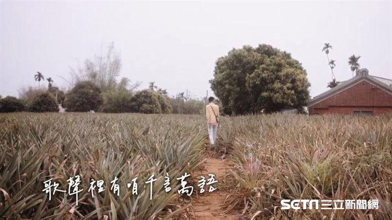 獨／駐唱歌手罹聲音癌　心願曝聽到哭
