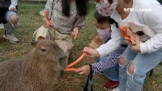 農委會擬送500萬張250元農遊券