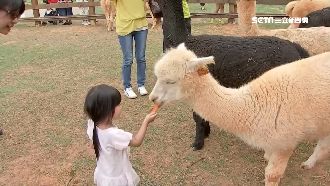 5百萬人搶農遊券！搭三倍券再享優惠