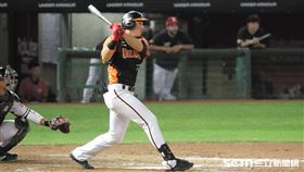▲統一獅外野手林安可。（圖／記者劉彥池攝影）
