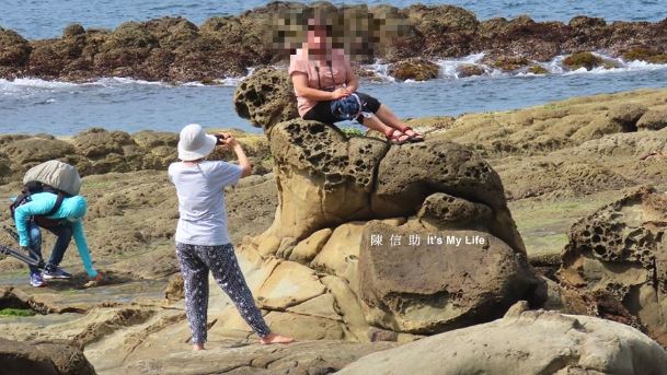 大媽爬「海豹」打卡　他：剩這隻了…