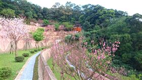 環保意識高漲，政府也提供資源，讓民眾可自行選擇環保葬地點。（圖／新北市政府民政局提供）