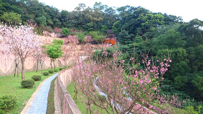 新北推「身後關懷計畫」可預立身後事