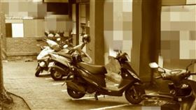 淡水,高中生,國小,新北市