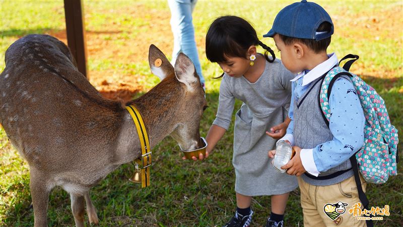 250元「農遊券」　索取方式超簡單