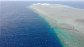 6萬綠蠵龜上岸產卵　空拍機全捕捉