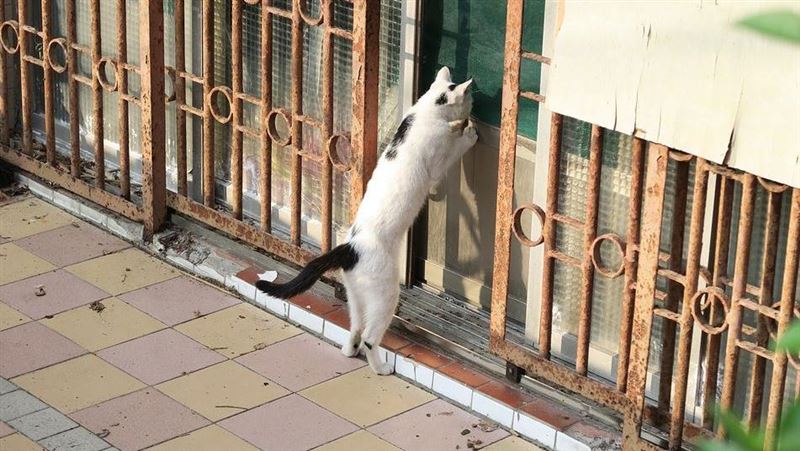 鑿壁偷春光　他看了之後後悔不已